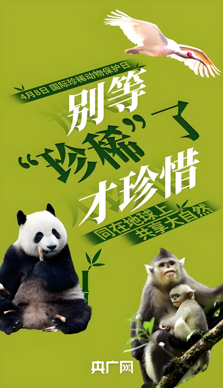 奇幻分类漫画
